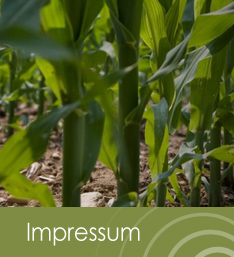 Radius Energy Partners - Impressum