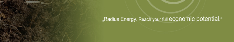 Radius Energy Partners - Unser Team